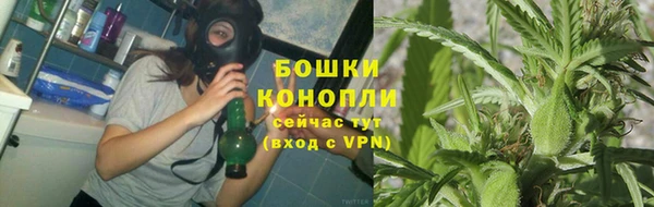 прущие грибы Абдулино