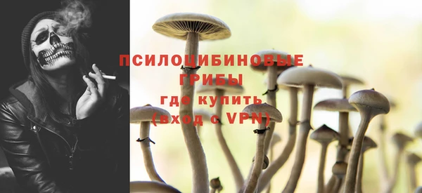 прущие грибы Абдулино