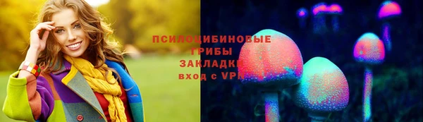 ГАЛЛЮЦИНОГЕННЫЕ ГРИБЫ Алексеевка