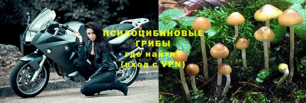 ешки Абаза