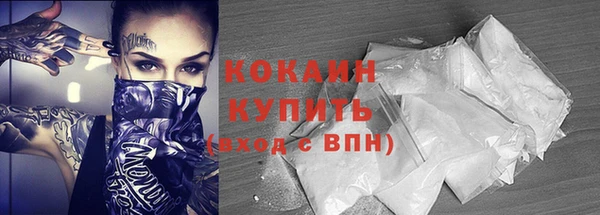 прущие грибы Абдулино